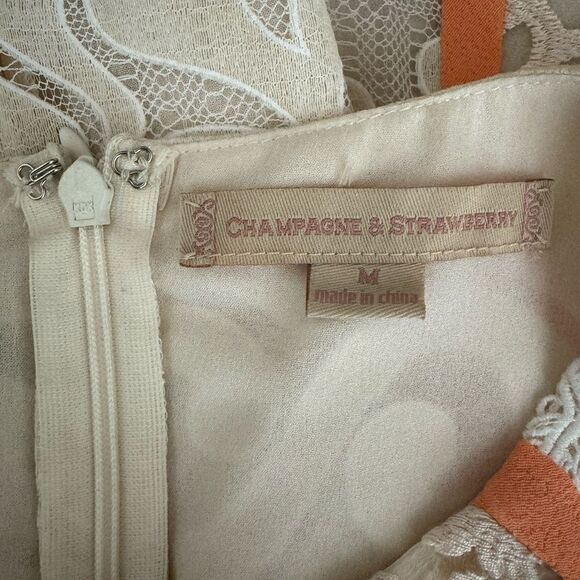Anthropologie Champagne & Strawberry Lace Mini Dress - Picture 6 of 7
